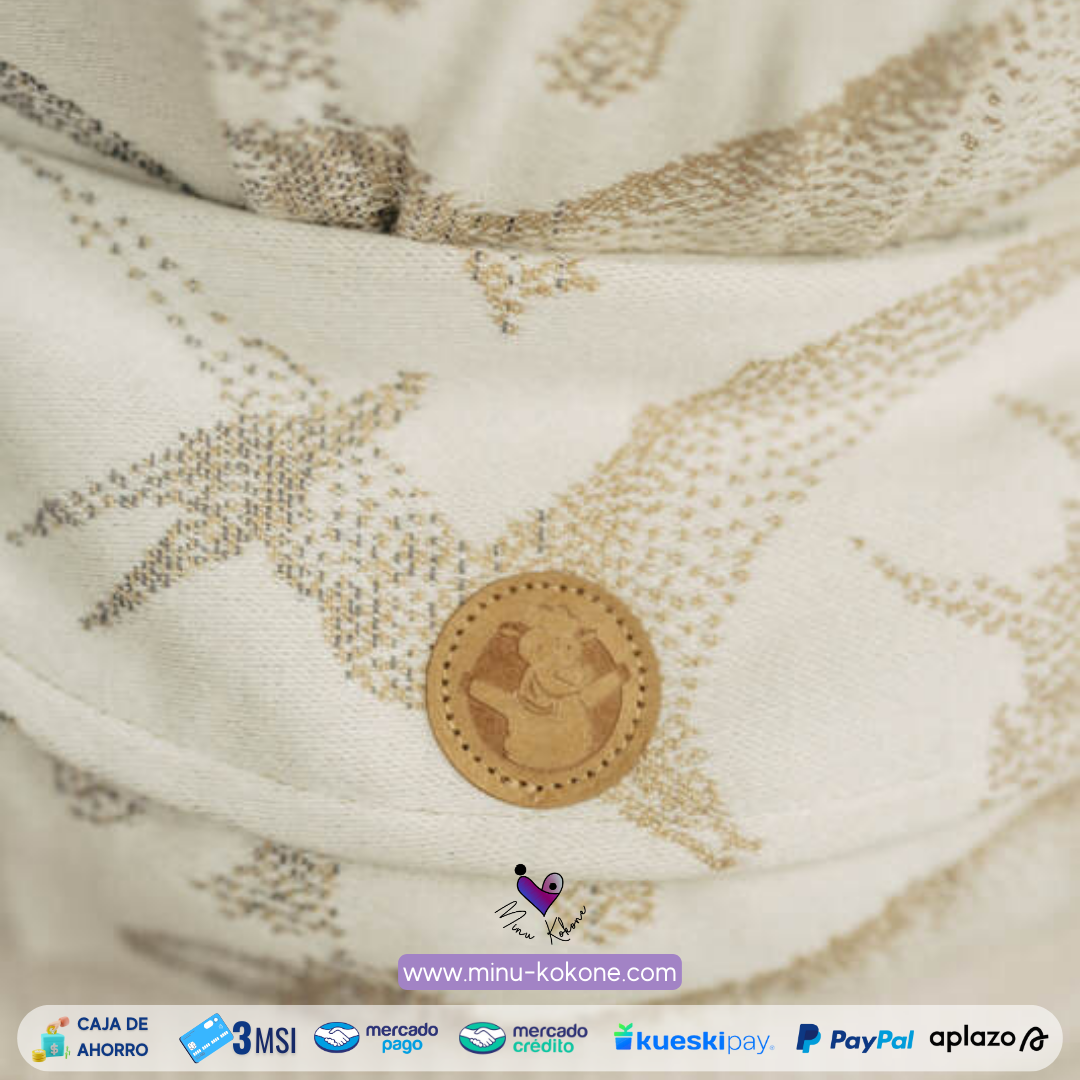 Jurassic - Ice Desert - LennyHybrid Preschool