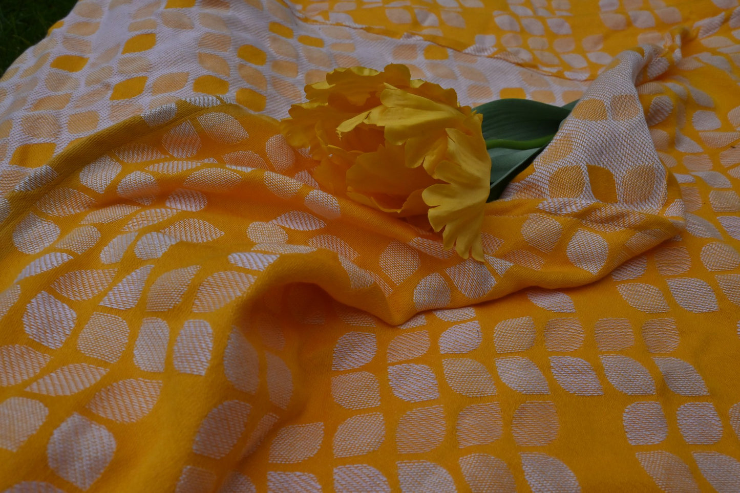 Petals - Yellow White - Talla 7