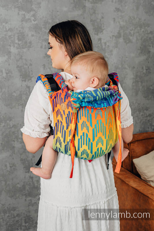 Rainbow Chevron - Standard