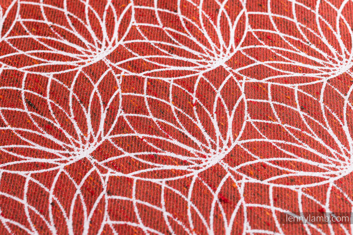 Lotus - Foxy - Talla 7