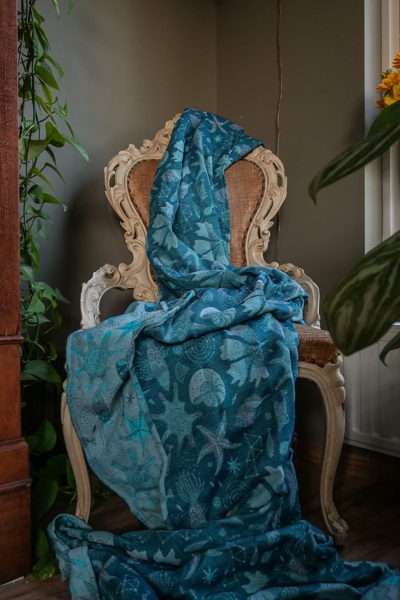 Starfish Duo Grey Night-Blue High Wool