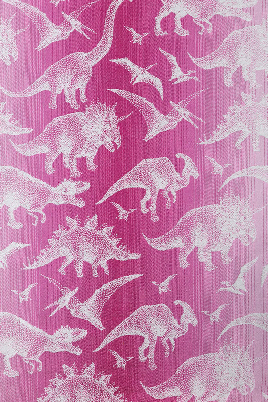 Jurassic Park Princess - LennyPreschool