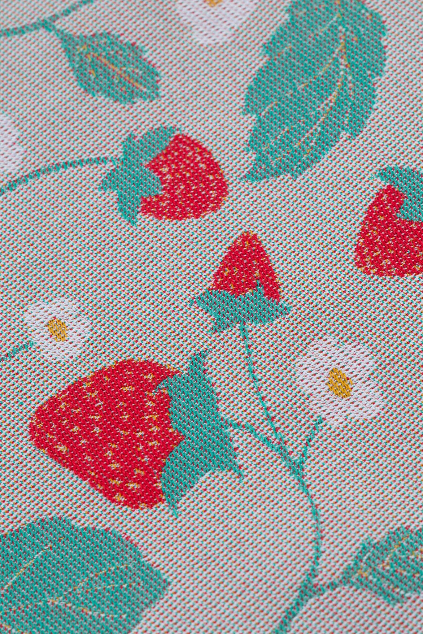 Strawberries - Drool Pads