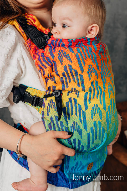 Rainbow Chevron LennyUpGrade