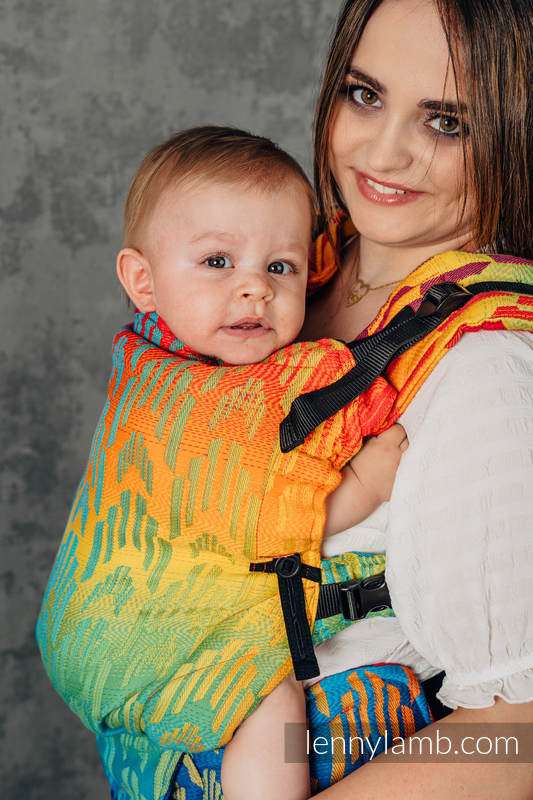 Rainbow Chevron LennyUpGrade