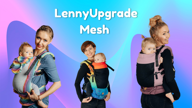LennyUpgrade Mesh