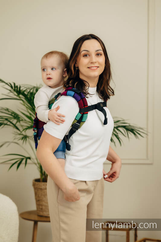 Carousel of Colors - Onbuhimo PRO - Toddler