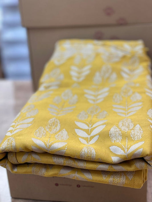 Alinda | Talla 6