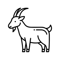 Cashmere