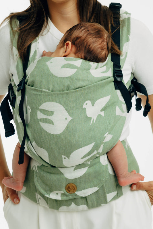 BIRDY - FLY HIGH | LennyUpGrade PRO