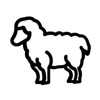 Merino