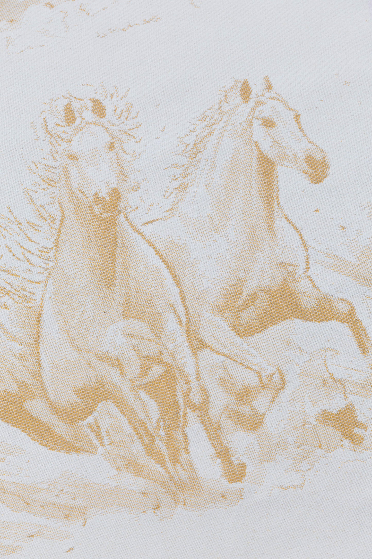 Gallop Palomino | Talla 4