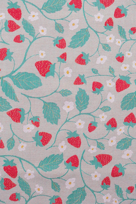 Strawberries | LennyLight