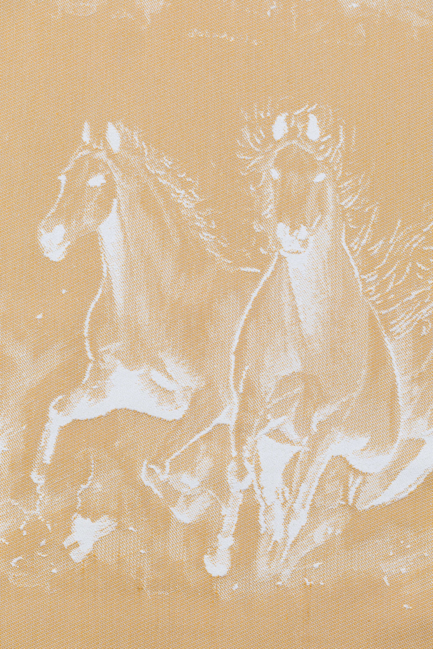 Gallop Palomino | Talla 5