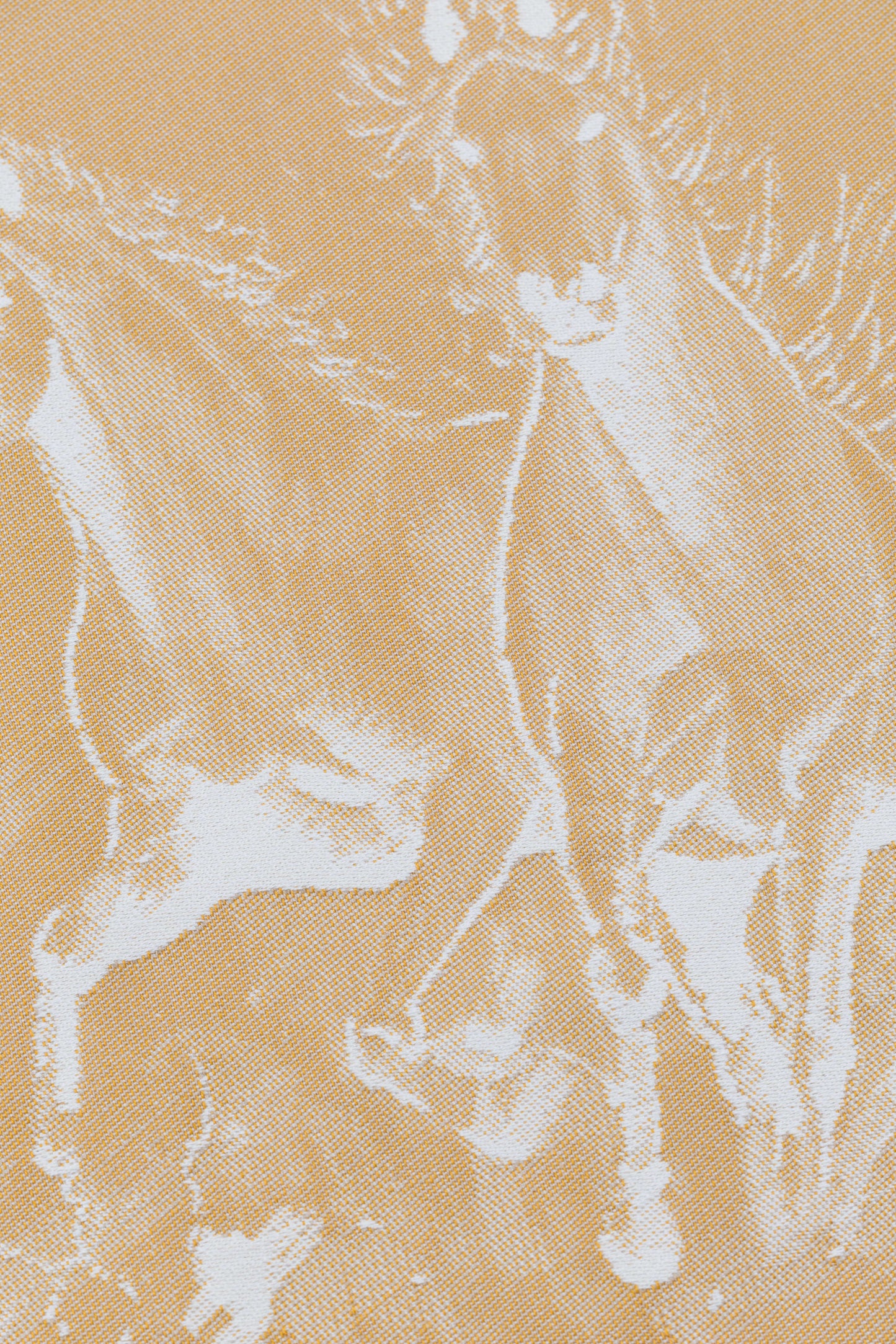 Gallop Palomino | Talla 4