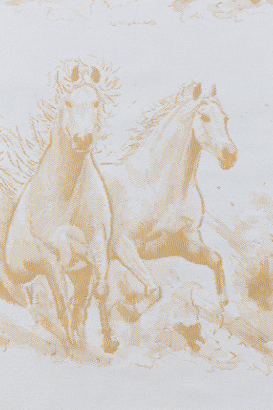 Gallop Palomino | Talla 5