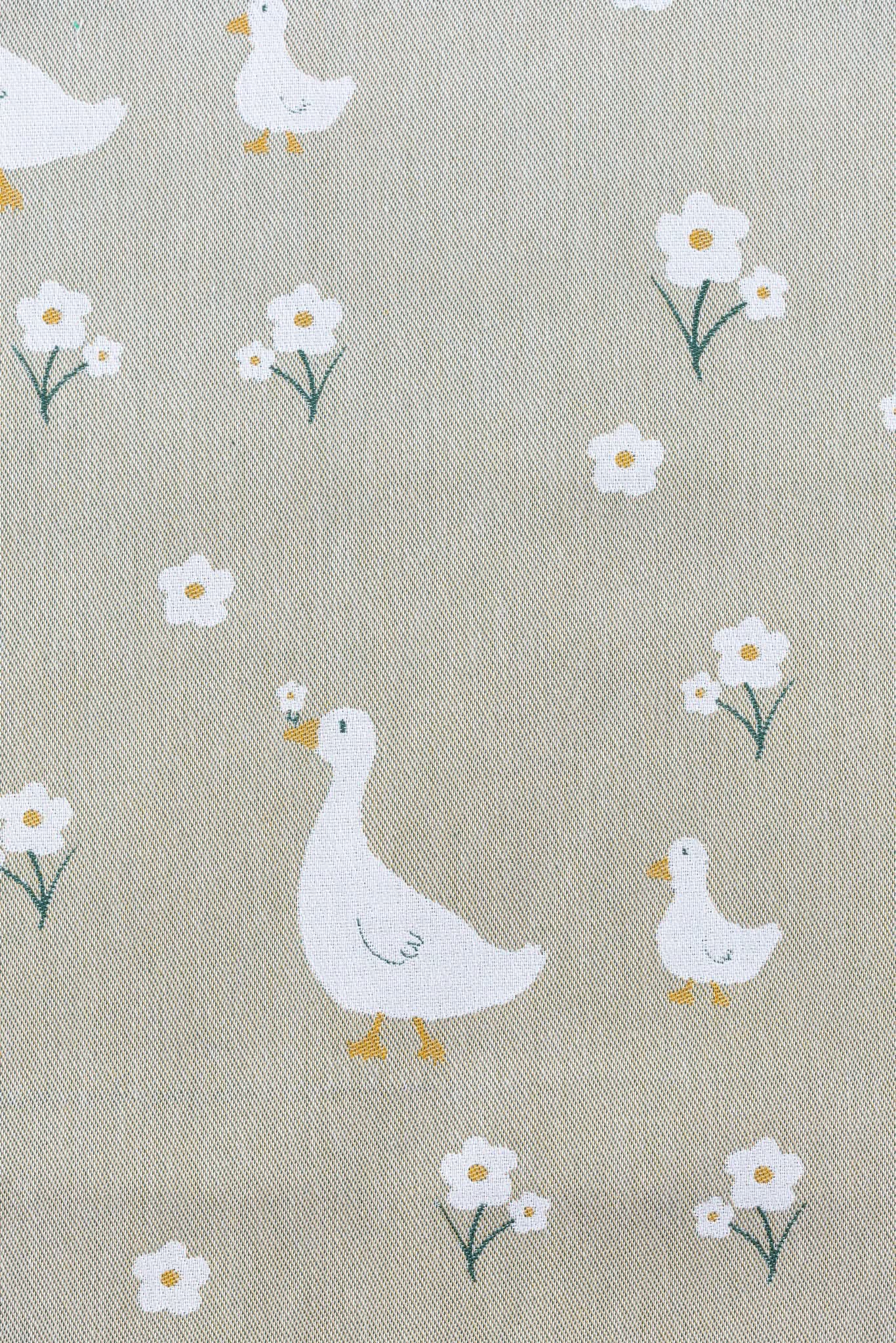 Mother Goose | LennyLight