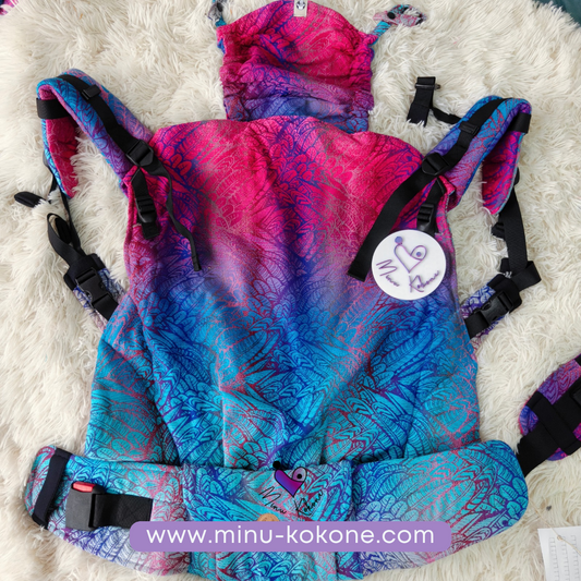 Wild Soul - Blaze | LennyPreschool