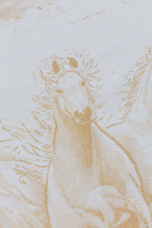 Gallop Palomino | Talla 5