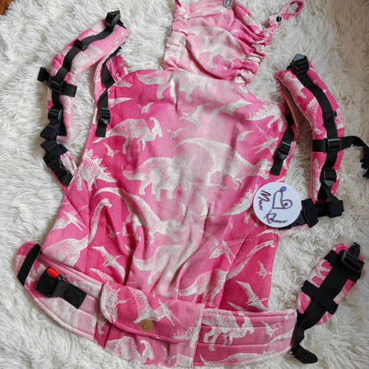 Jurassic Park Princess - LennyPreschool