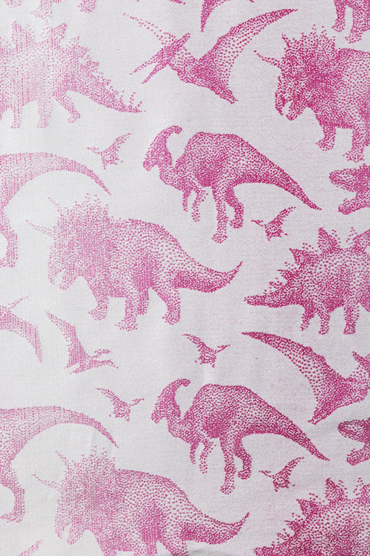 Jurassic Park Princess - REVERSO - LennyPreschool