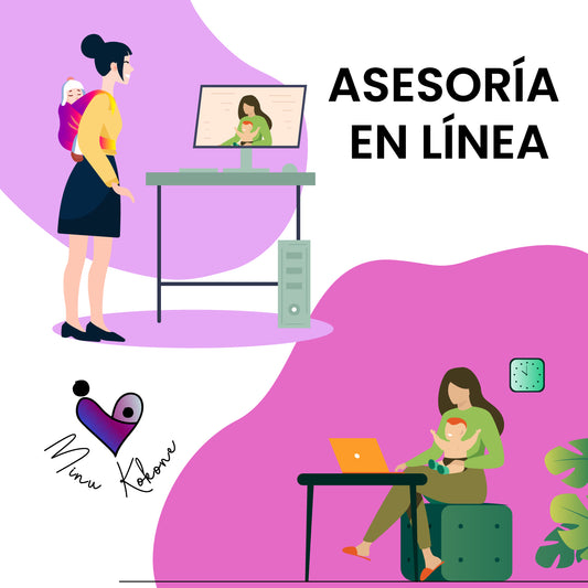 Asesoría de Porteo